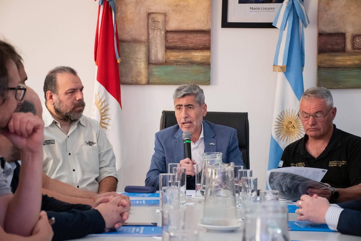 Córdoba crea una mesa interdisciplinar: el fuego consumió 84 mil hectáreas menos que el 2024
