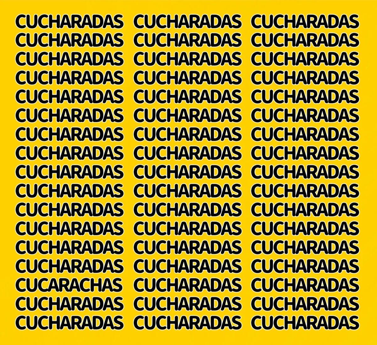 El acertijo visual.