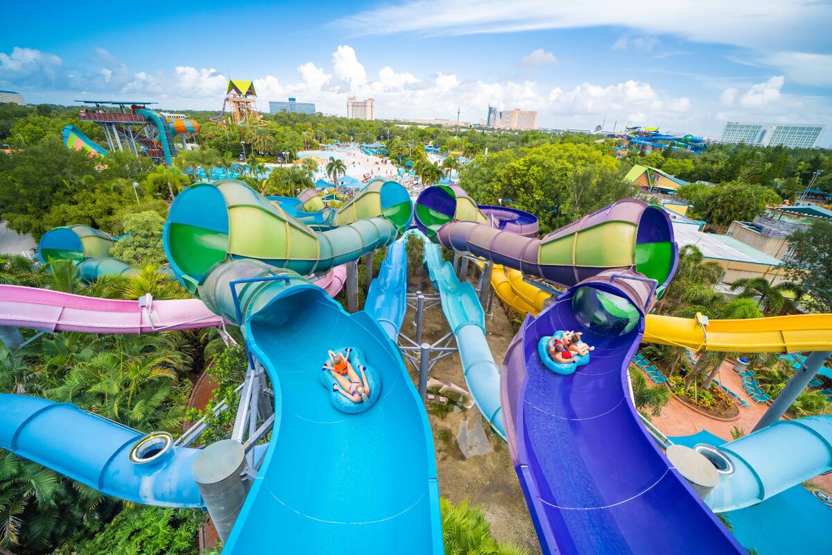 El día más divertido de las vacaciones: atracciones increíbles con conciencia ecológica