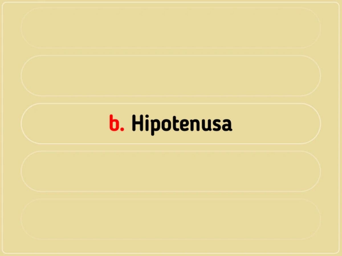 La solución del acertijo visual.