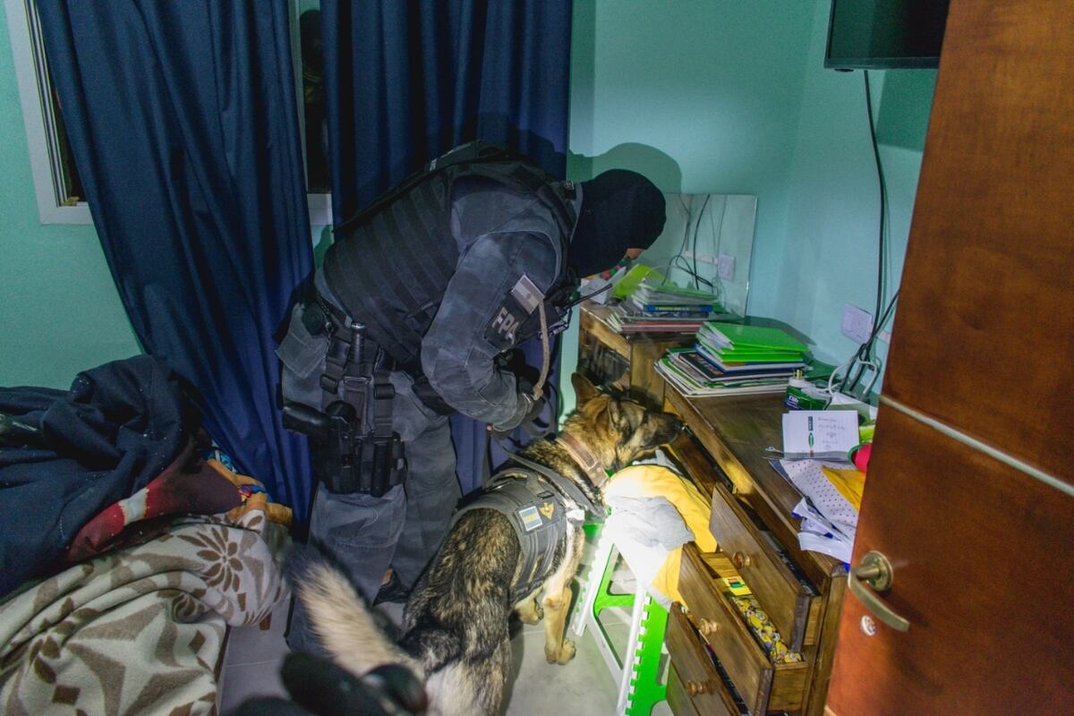 Con la ayuda de perros adiestrados, los investigadores lograron hallar dosis de drogas.