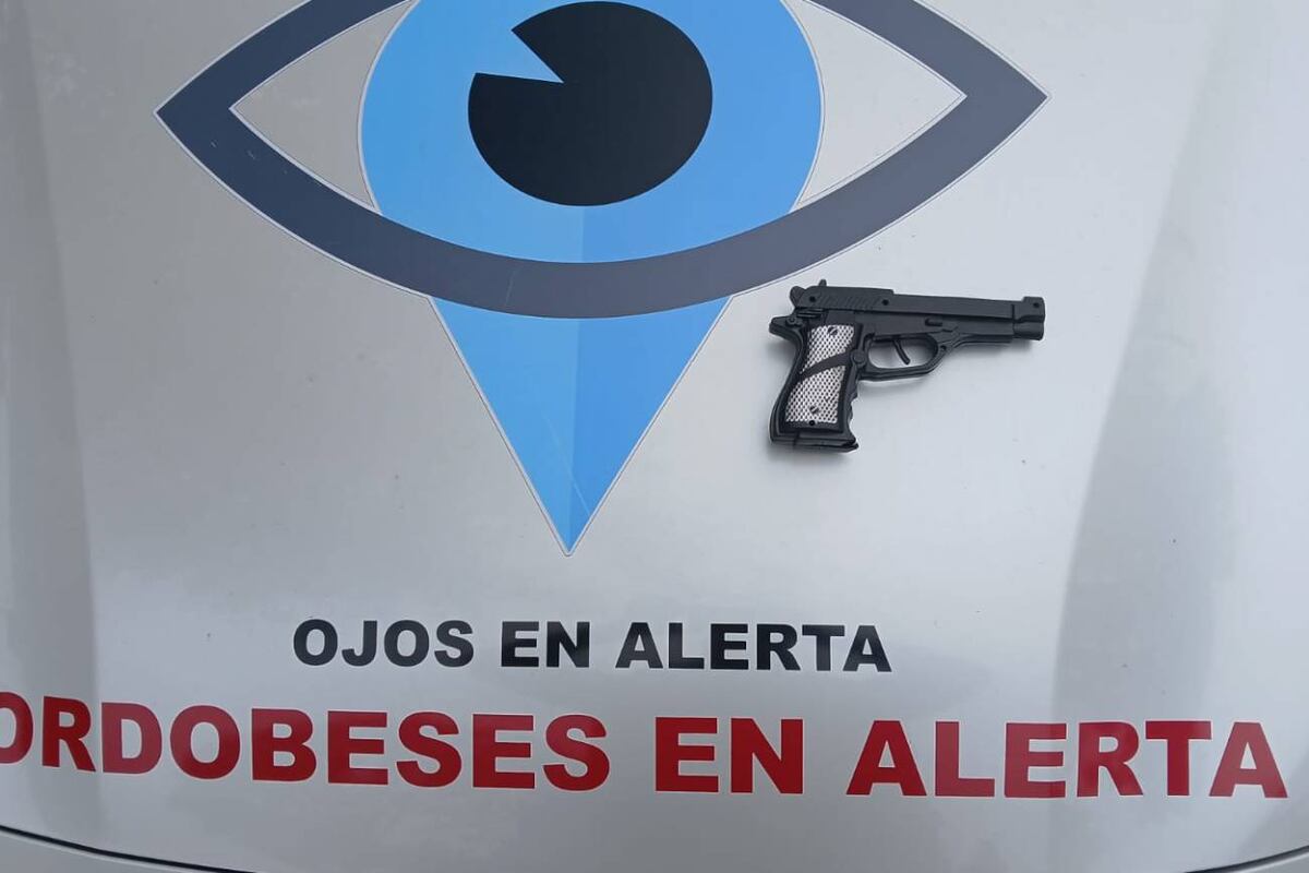 Los chicos, de 13 y 14 años, fueron detenidos en barrio Altos Vélez Sarsfield. (Policía de Córdoba)