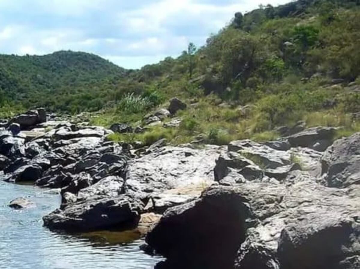 Villa Cañada del Sauce lucha contra la venta privada de lotes en un bosque protegido (Gentileza).