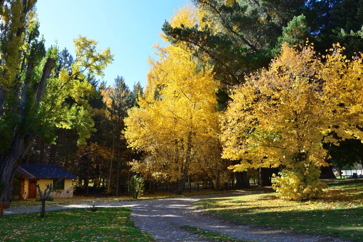 Por qué visitar Bariloche fuera de las temporadas de verano o invierno. (Foto: gentileza Bariloche)