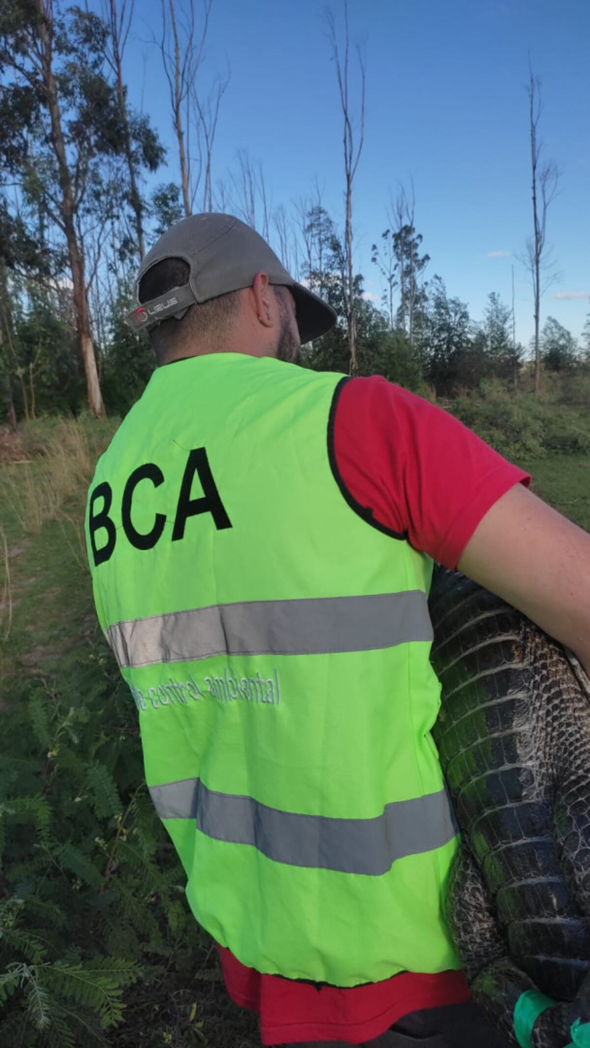Rescate. Los yacarés fueron encontrados en los últimos relictos de agua. (Ministerio de Ambiente y Desarrollo Sostenible)
