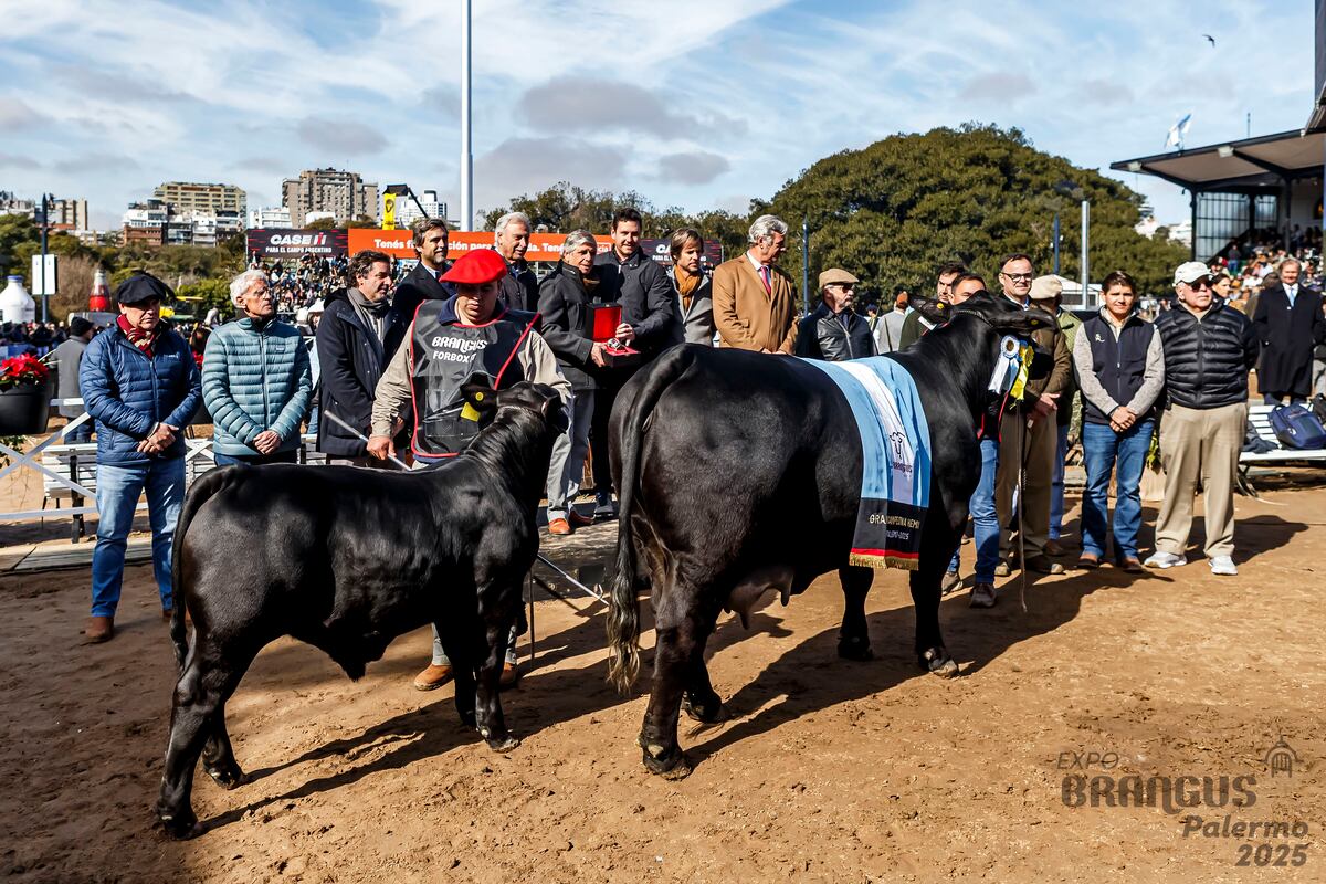 MEJOR HEMBRA. Vaca con cría de la cabaña Corral de Guardia, de Villa Valeria.