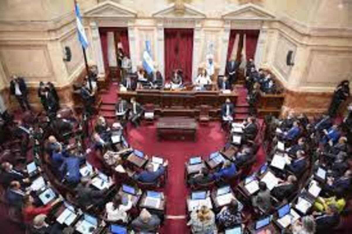 Senado de la Nación. Durante 2023 tuvo muy pocas sesiones.