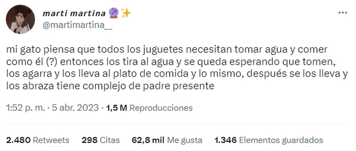 Grabó a su gato y se volvió viral en Twitter. (@martimartina__)