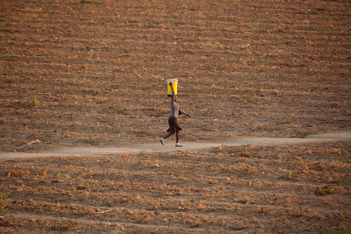 ARCHIVO - Una mujer camina por una senda junto a un campo desierto en Zvimba, Zimbabue, 26 de junio de 2021. El Programa Mundial de Alimentos de la ONU dijo el miércoles 17 de enero de 2024 que está colaborando con el gobierno de Zimbabue y agencias de ayuda para llevar alimentos a 2,7 millones de personas, cuando el fenómeno meteorológico El Niño agrava una sequía en el sur de África. (AP Foto/Tsvangirayi Mukwazhi, File)