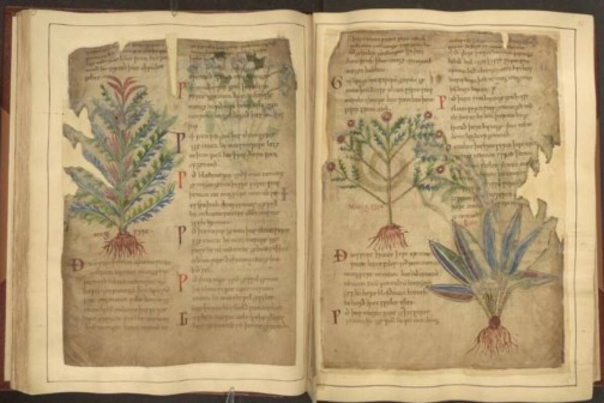 Recopilación de cientos de manuscritos medievales con material médico anterior al siglo XI. (Europa Press)