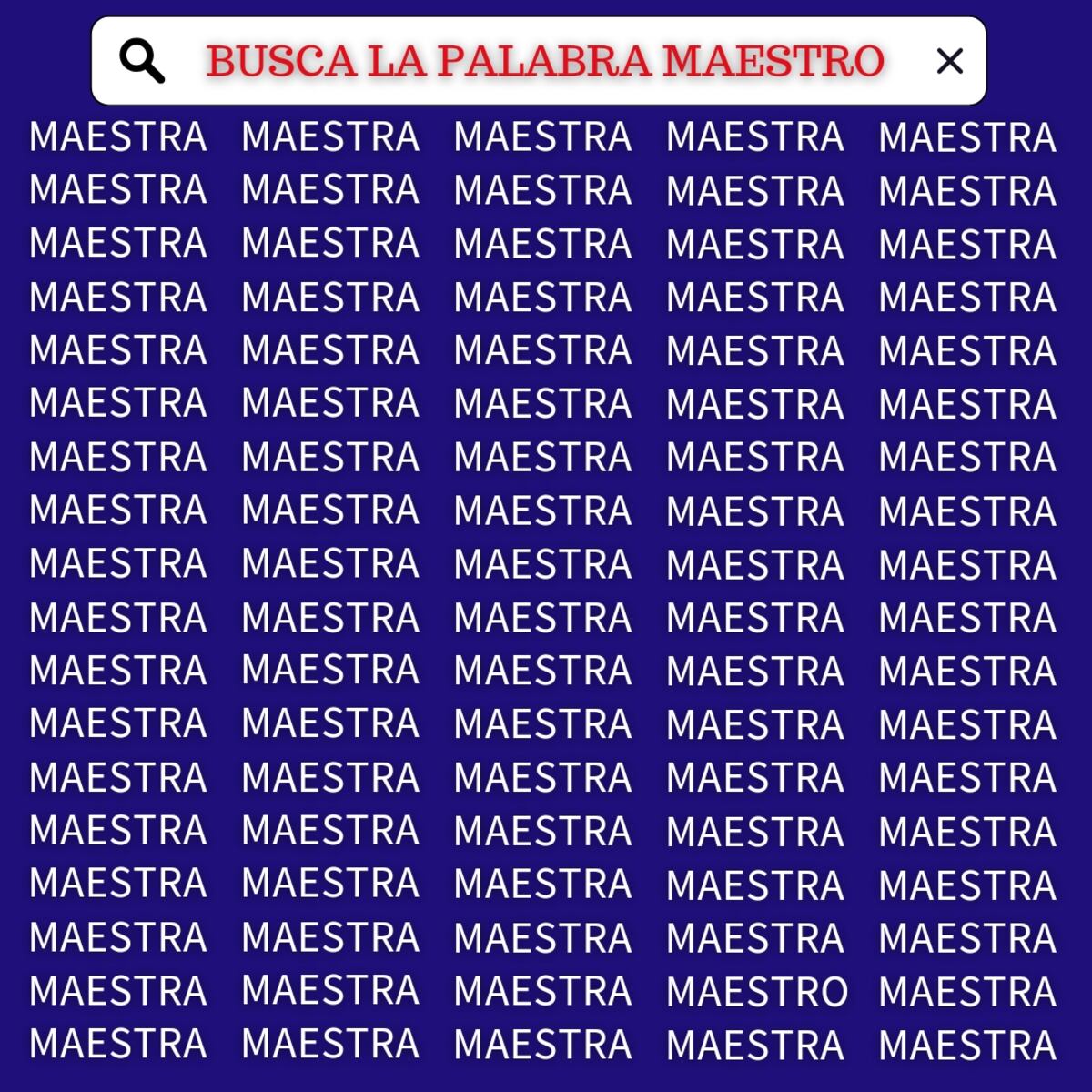 El acertijo visual.