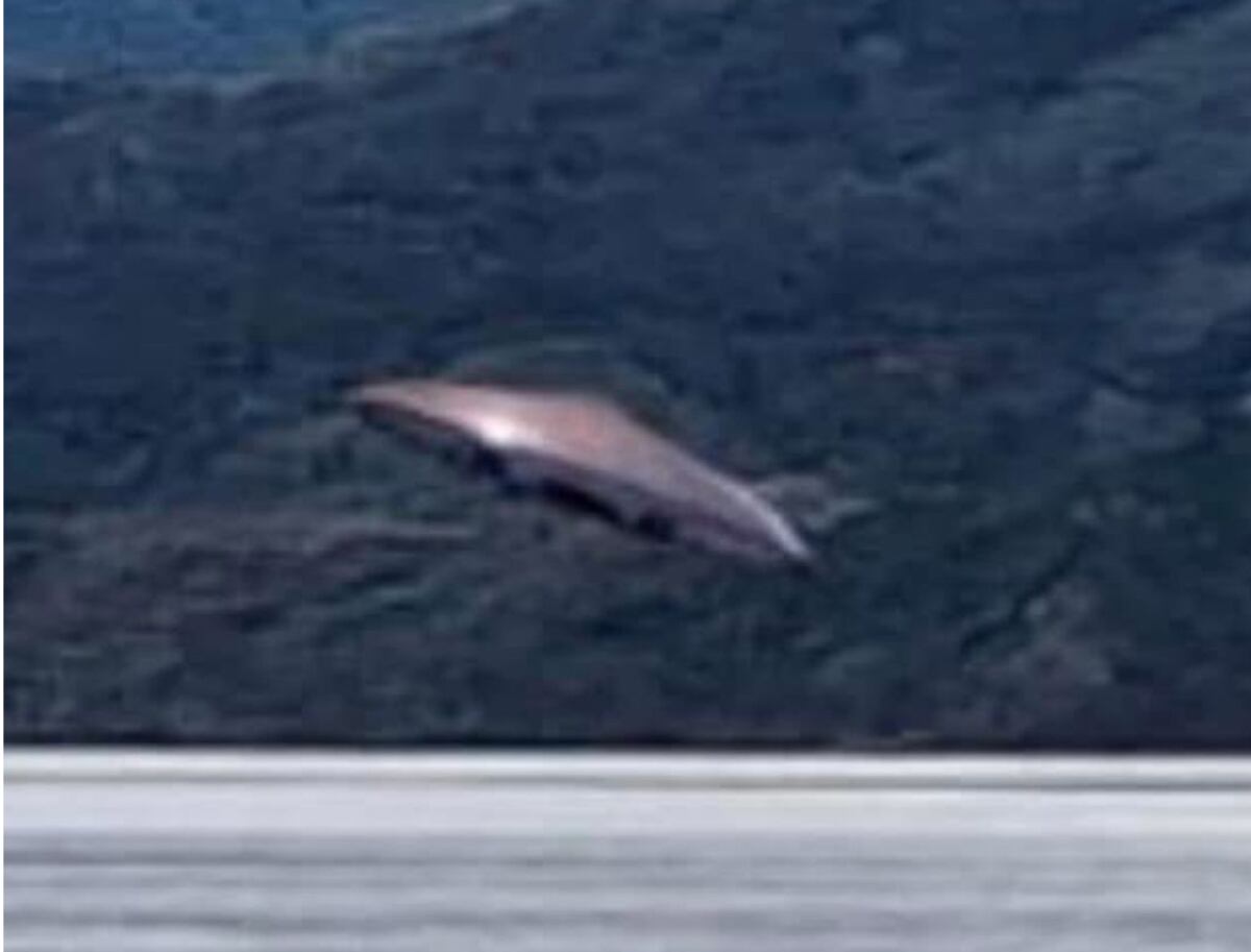 Turistas aseguran haber fotografíado un Ovni sobre el Canal Beagle (Gentileza).