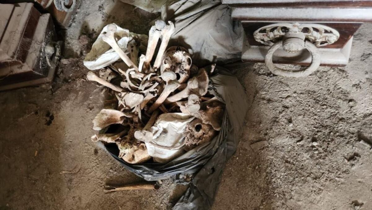 Descubrimiento macabro en el cementerio. Más de 500 ataúdes abandonados y 200 bolsas con restos humanos.