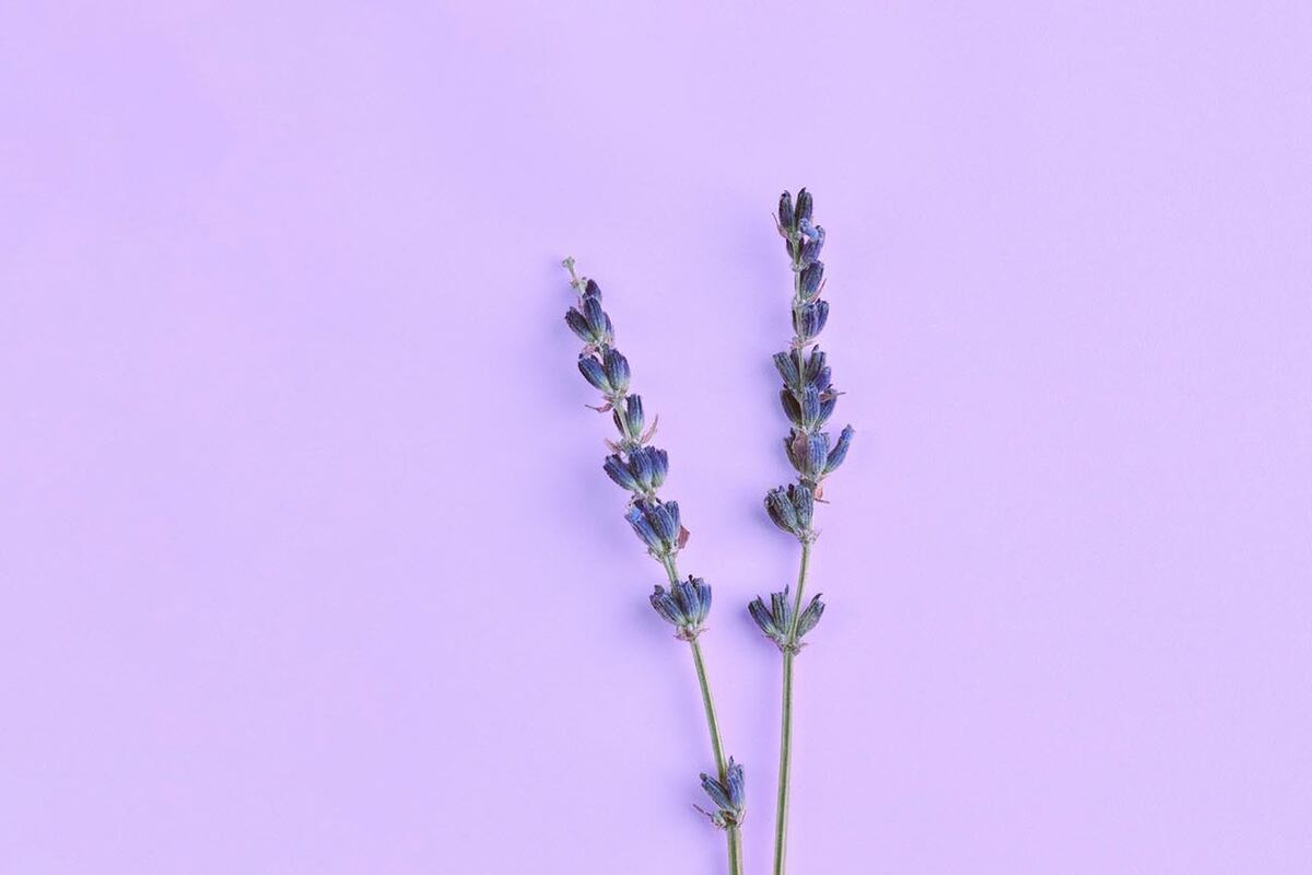 Colores. Actualmente hay nuevas formas y posibilidades de aplicar una amplia gama de tonos.