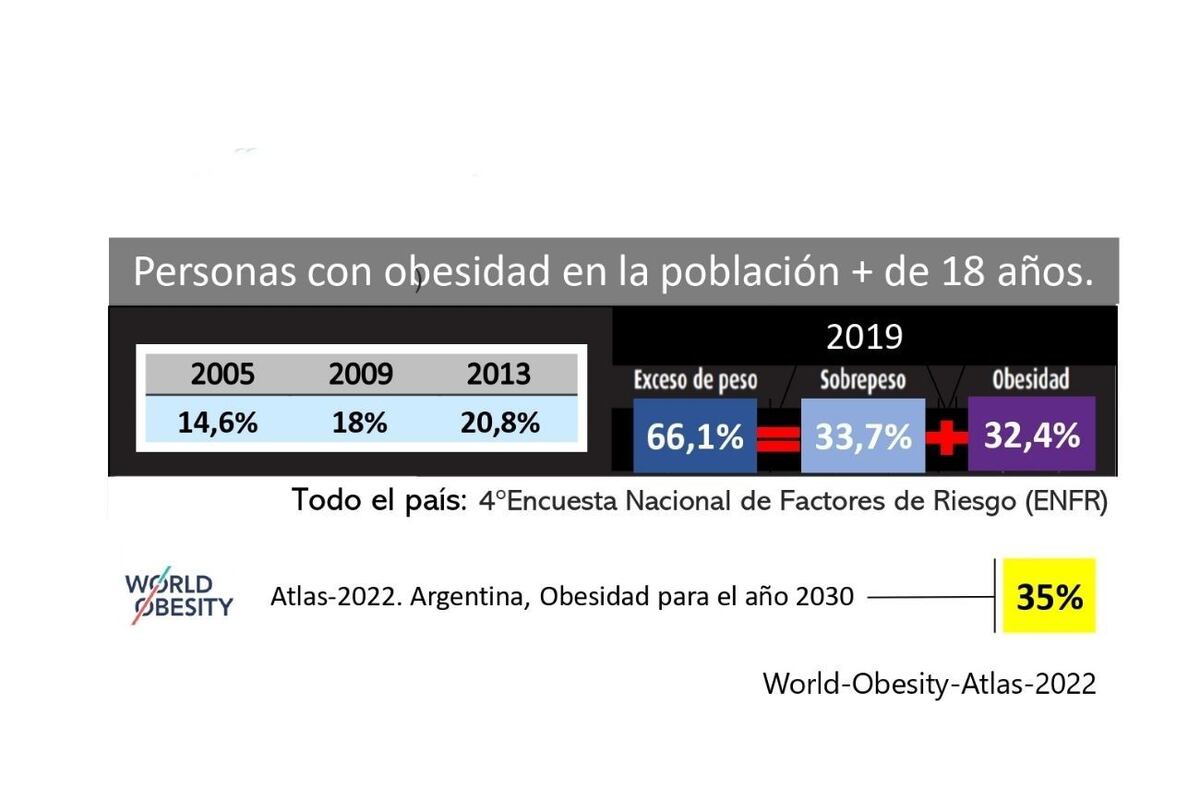 Se diagnostica obesidad a partir de un Índice de Masa Corporal (IMC) superior a 30 kg/m2 .