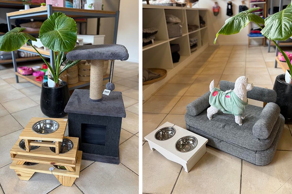 Los equipamientos para gatos y perros están enfocados en garantizar mayor confort a su rutina.