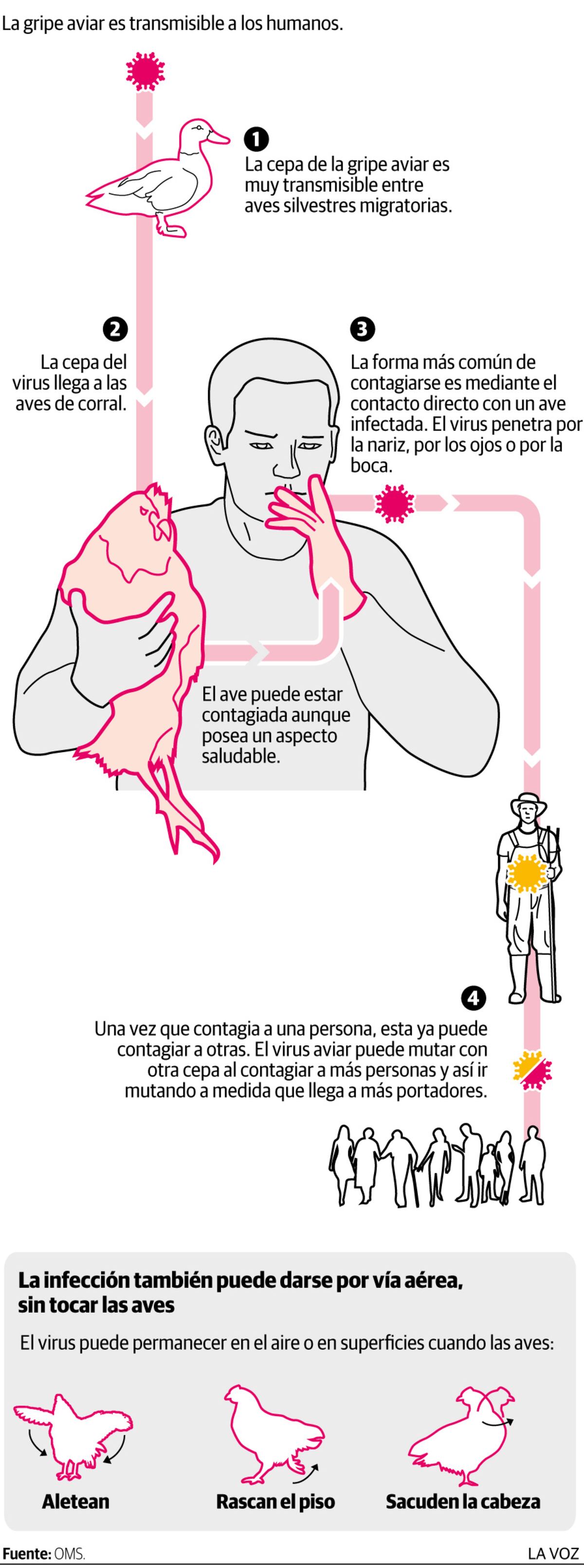 Imagen de la nota