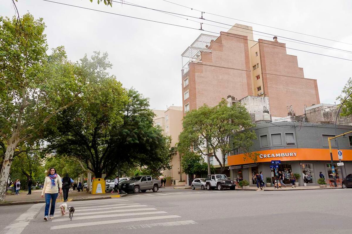 "Hoy, el pozo está marcando un piso en precios para unidades de un dormitorio que arranca desde U$S 60.000, con toda la expectativa de que se sigan recuperando los valores", evalúa Paolo Vieyra.