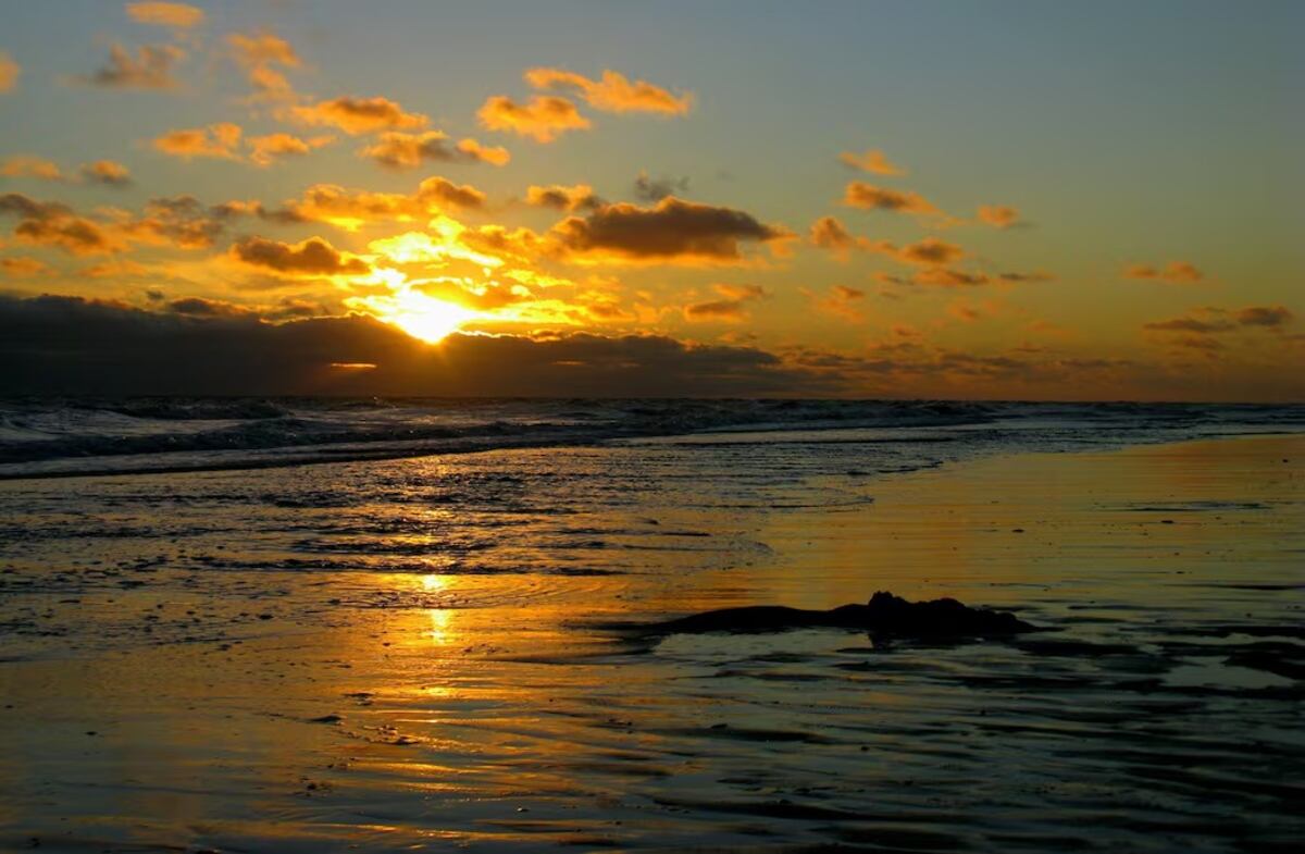 Pehuen Có: playas tranquilas, bosques y fósiles milenarios en la joya oculta del sur bonaerense.