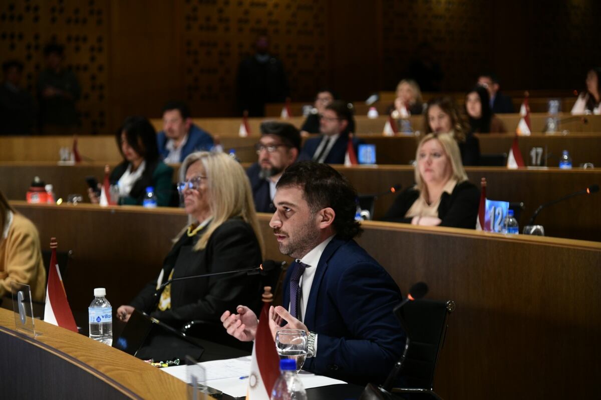 Concejo Deliberante: con amplia mayoría, se aprobó la regulación de Uber. Ramiro Pereyra/ La Voz