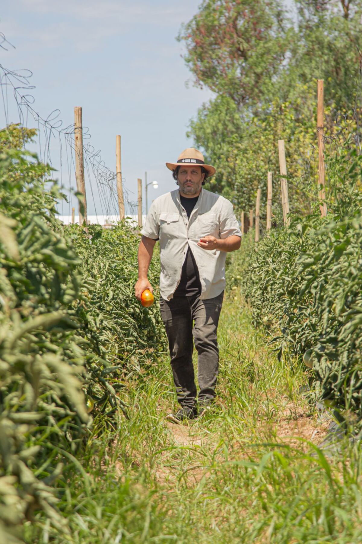Juan Ignacio Gerardi, impulsor del Festival Del Tomate 2026.