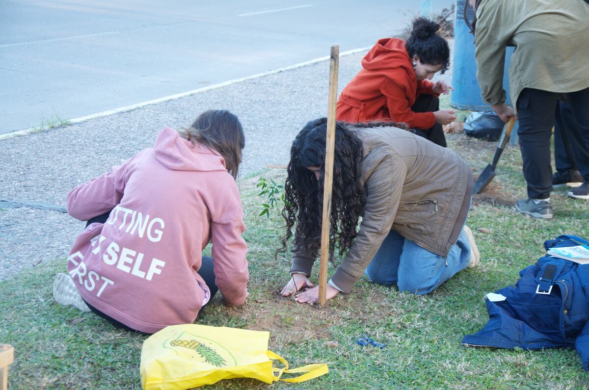 Jóvenes por el clima plantando árboles. (Foto: Gentileza)