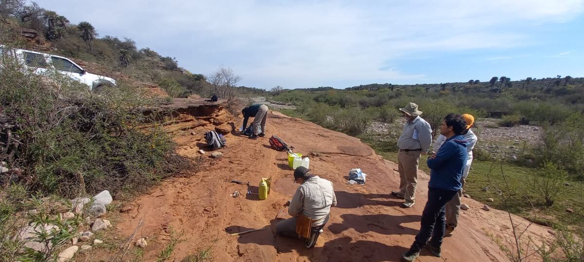 Rescate de restos fósiles en Sierra de Copacabana, Pajarillo y Masa, Córdoba. (Gentileza)