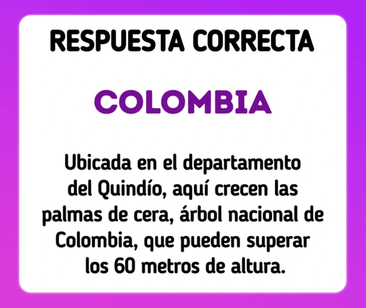La solución del acertijo visual.