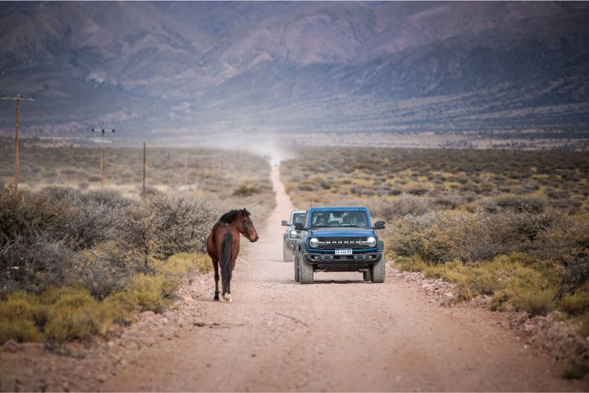 Nueva Ford Bronco Wildtrak.