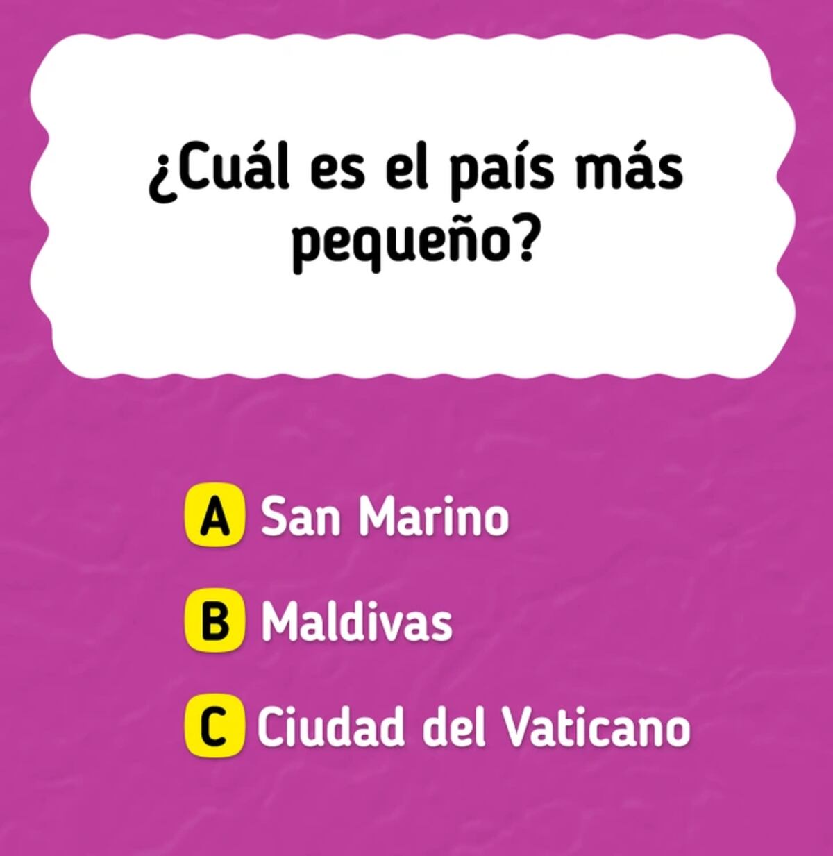 El acertijo visual.