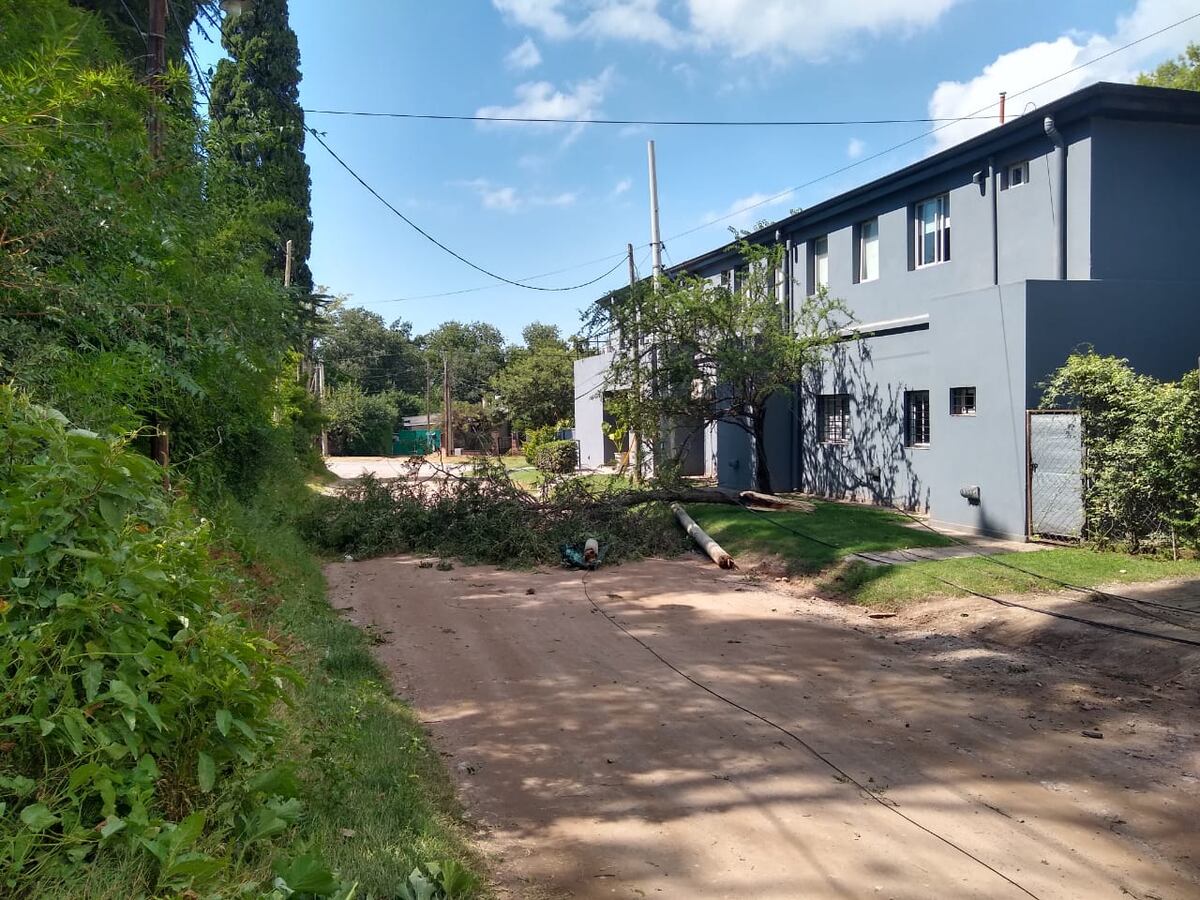 Un camión enganchó cableado, derribó tres postes y ocasionó daños en Mendiolaza (Gentileza).