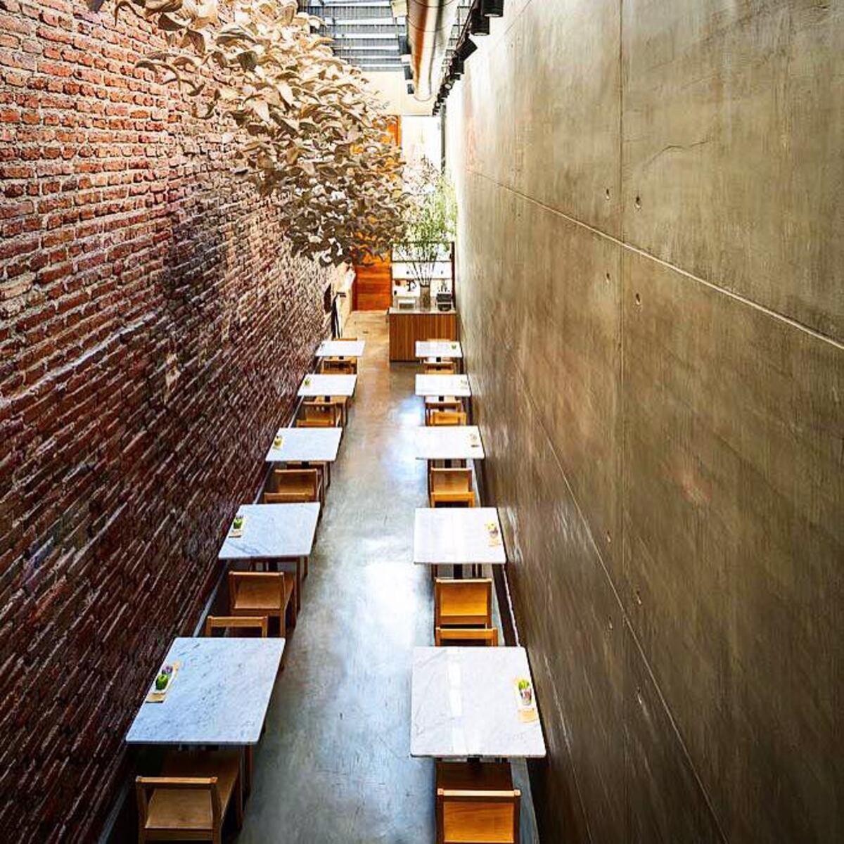 Restaurantes con cocina de autor en Córdoba: El Papagayo.