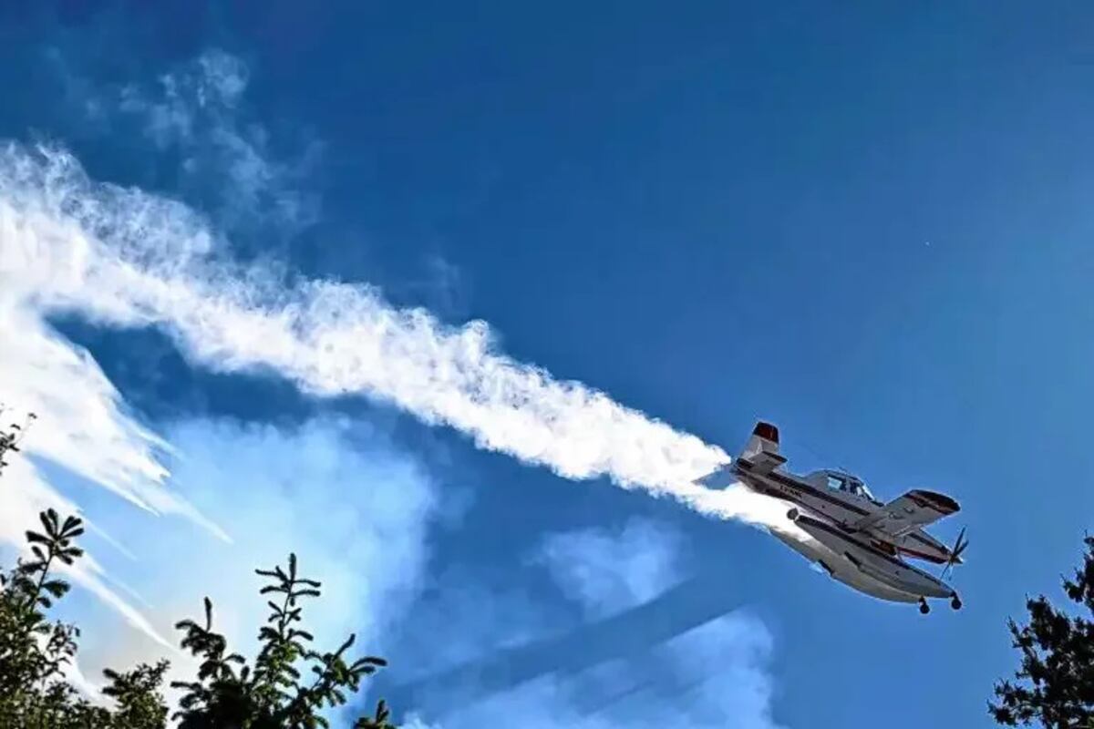 Incendio en el cerro Otto de Bariloche: después de varias horas de combate, está contenido y en etapa de guardia (gentileza Diario Rio Negro)