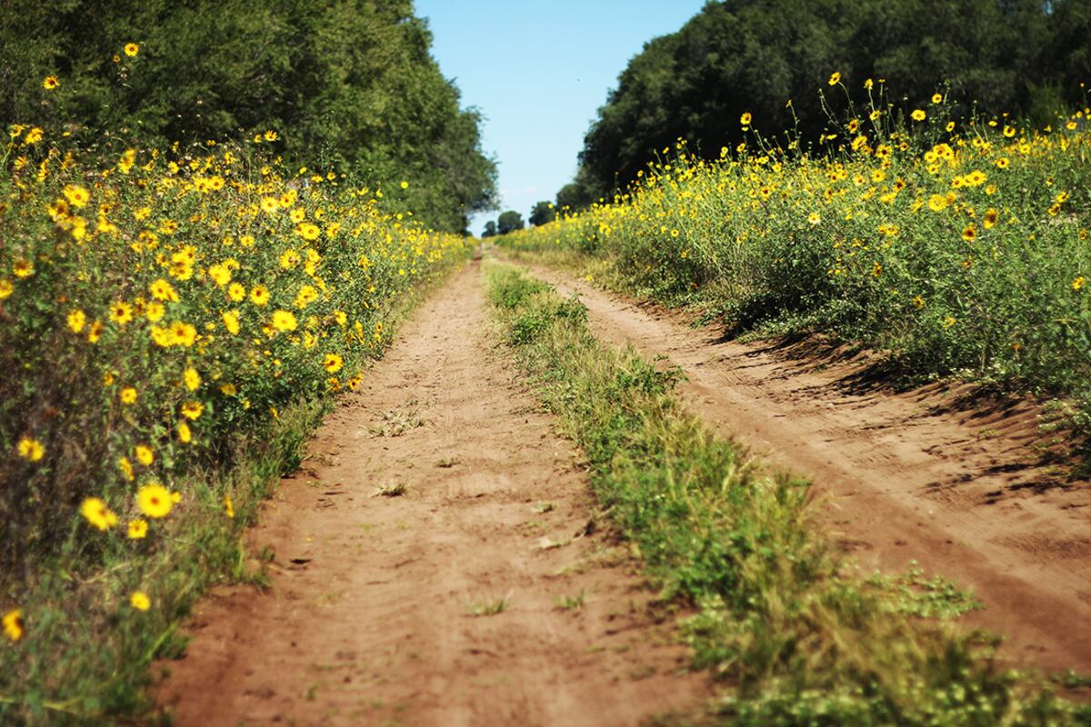Turismo Rural en La Pampa