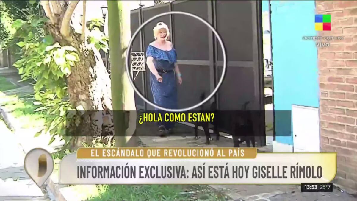 Giselle Rímolo en la actualidad. (Captura)