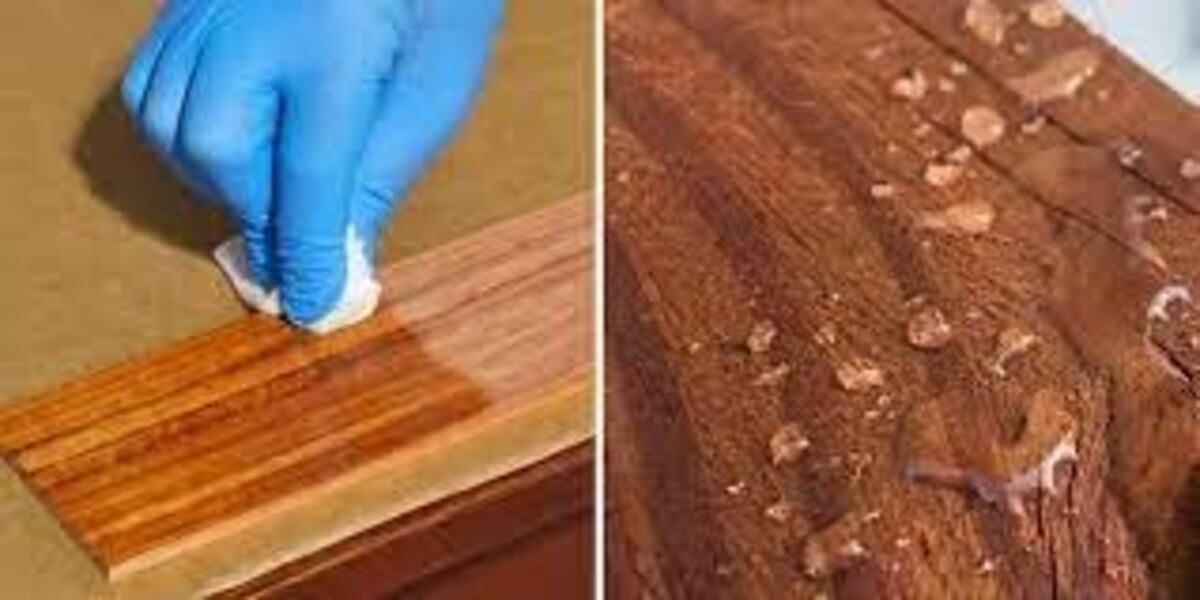 El truco natural que protege la madera, realza su brillo y mantiene alejadas a las termitas