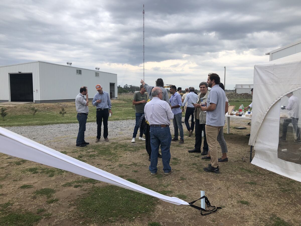 La compañía familiar es la principal fabricante de cebos para el control de plagas del país. (Gentileza AgriGlobal)
