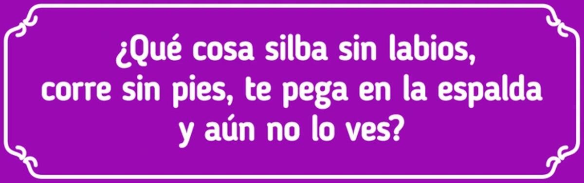 El acertijo visual.