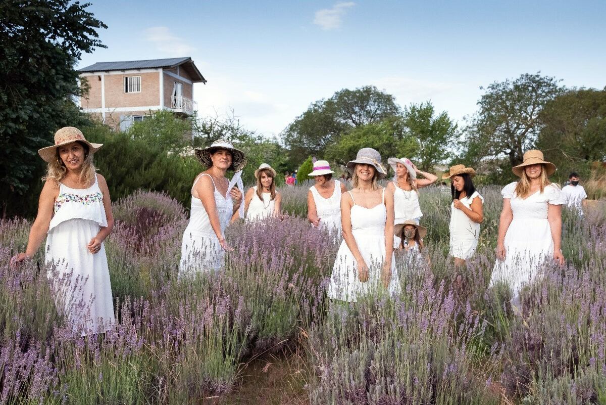 En enero de 2023 se realizará la sexta edición de La Fiesta de la Cosecha de Lavanda en Calmayo. (Foto: Cecilia Vallejo)