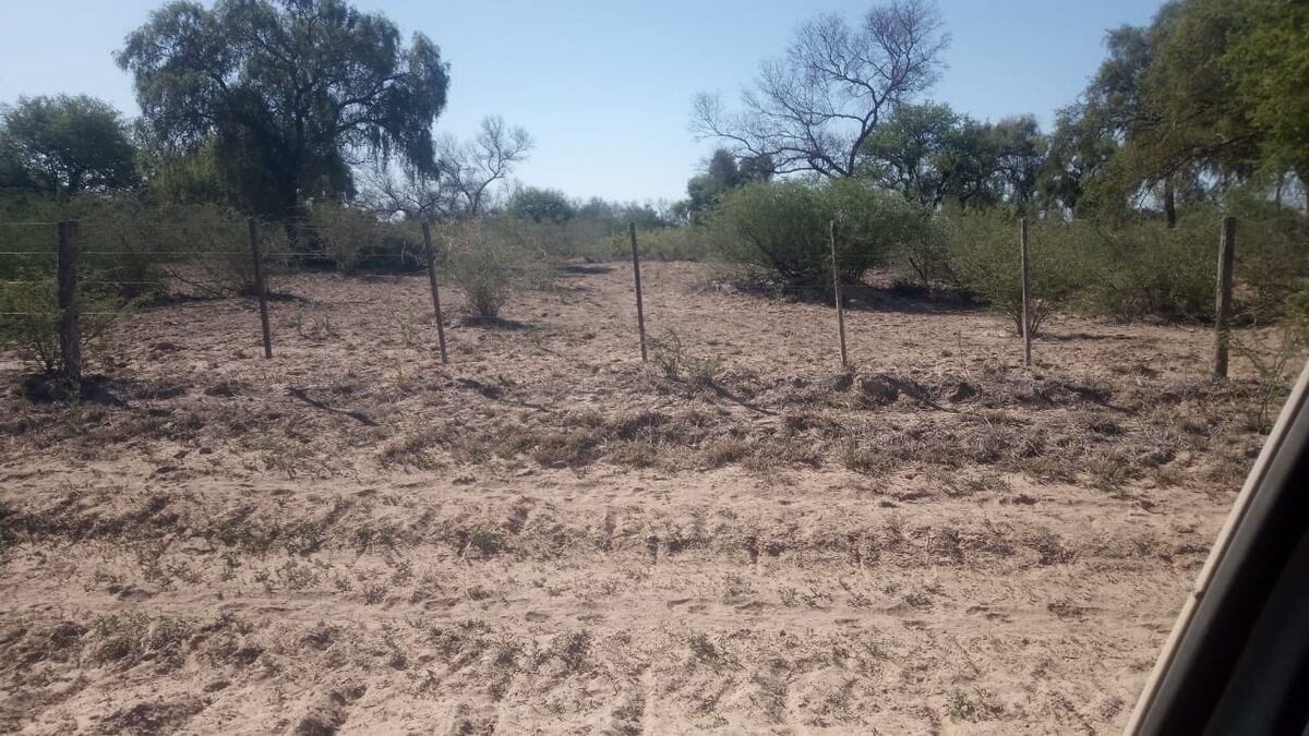 Imagen de la nota
