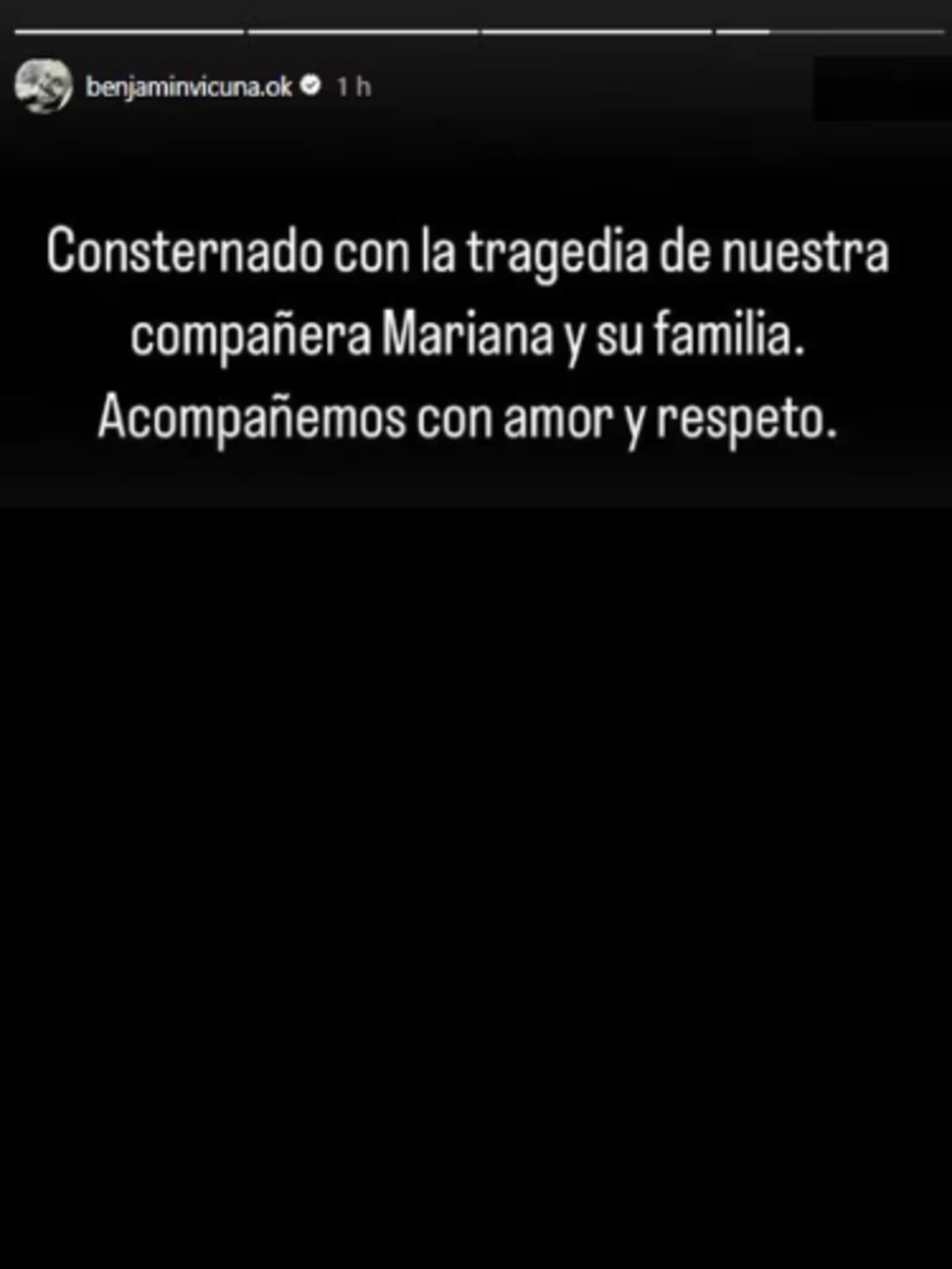 El desgarrador mensaje de Benjamín Vicuña dedicado a Mariana Derderián. (Captura)