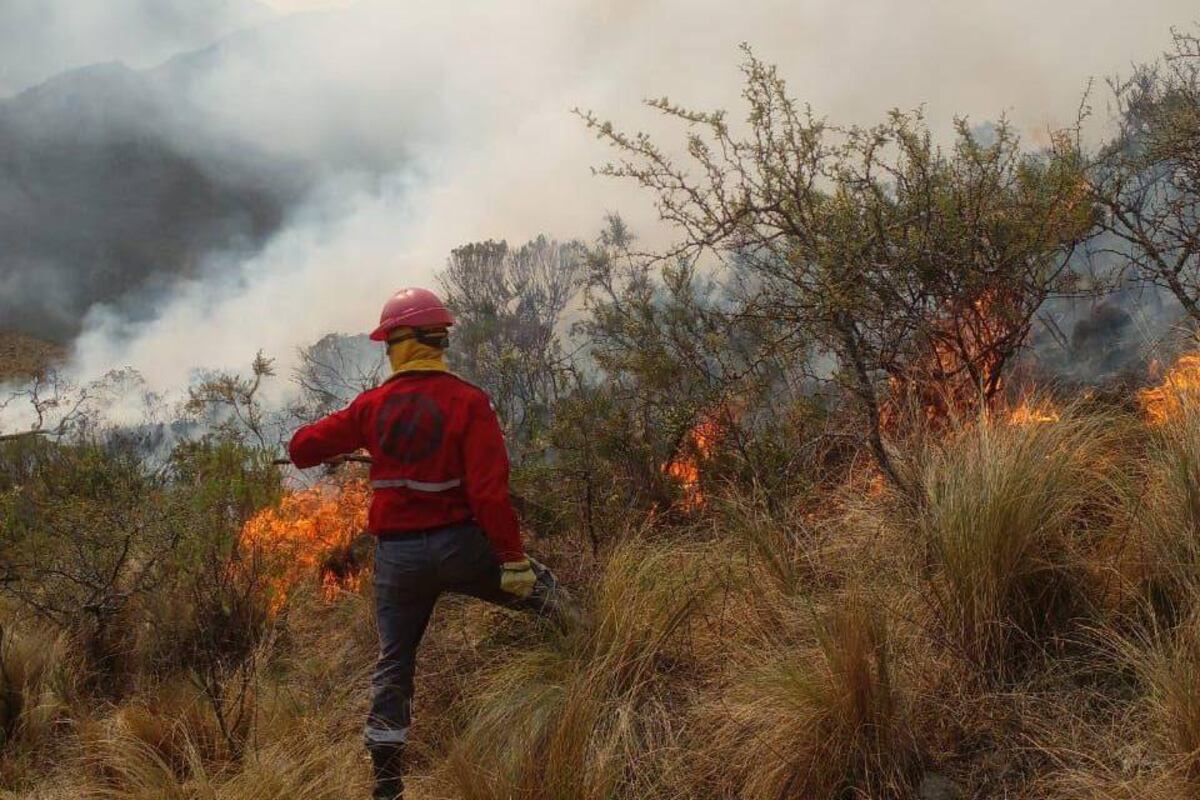 2024 fue un año muy complicado por los incendios en Córdoba (La Voz/ Archivo)