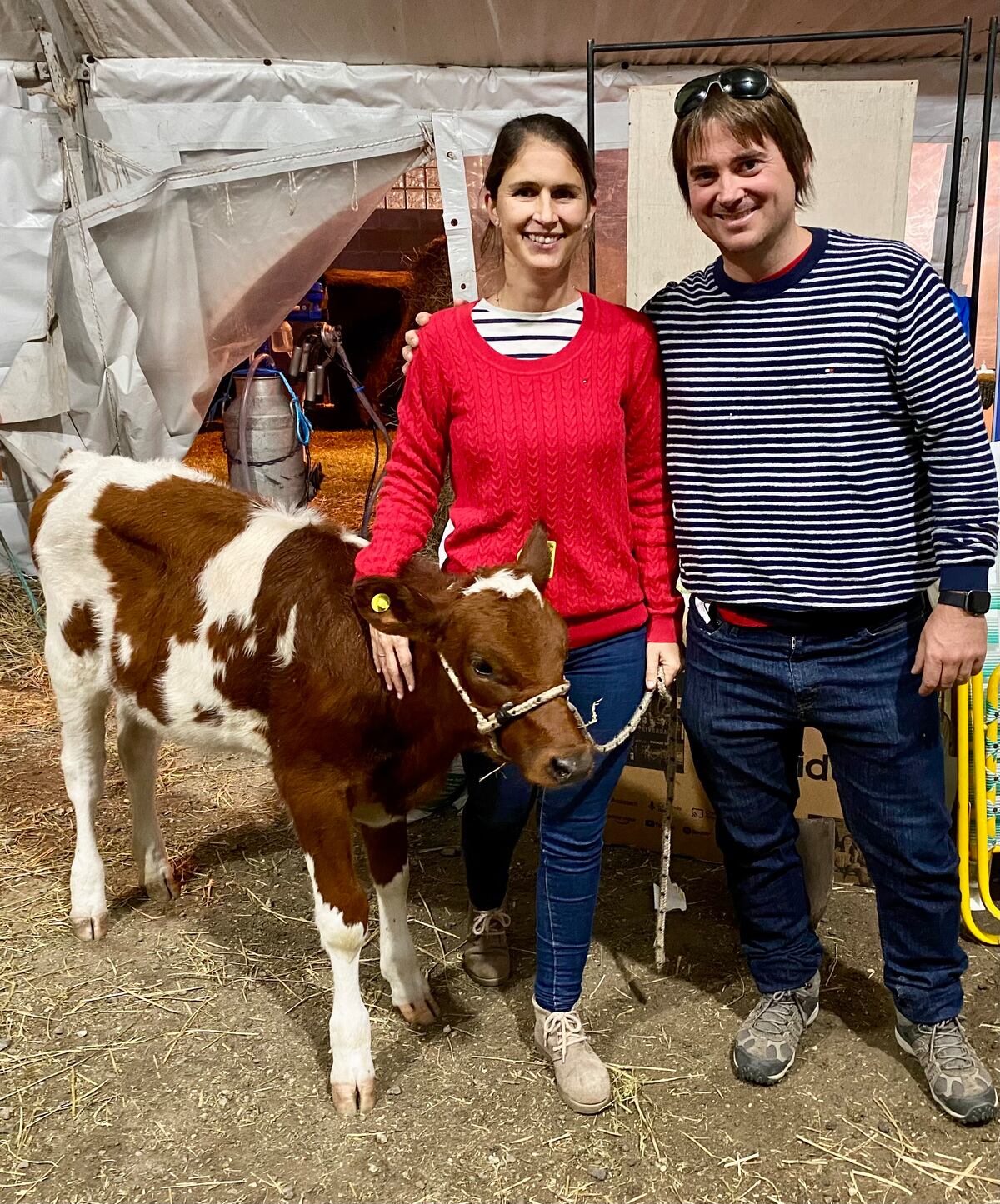 Mónica y Gerardo con una ternera que donaron a una escuela técnica de Pozo del Molle en la Todoláctea 2024. Un proyecto del cole fue tener el muestrario de todas las razas de leche. (Gentileza)