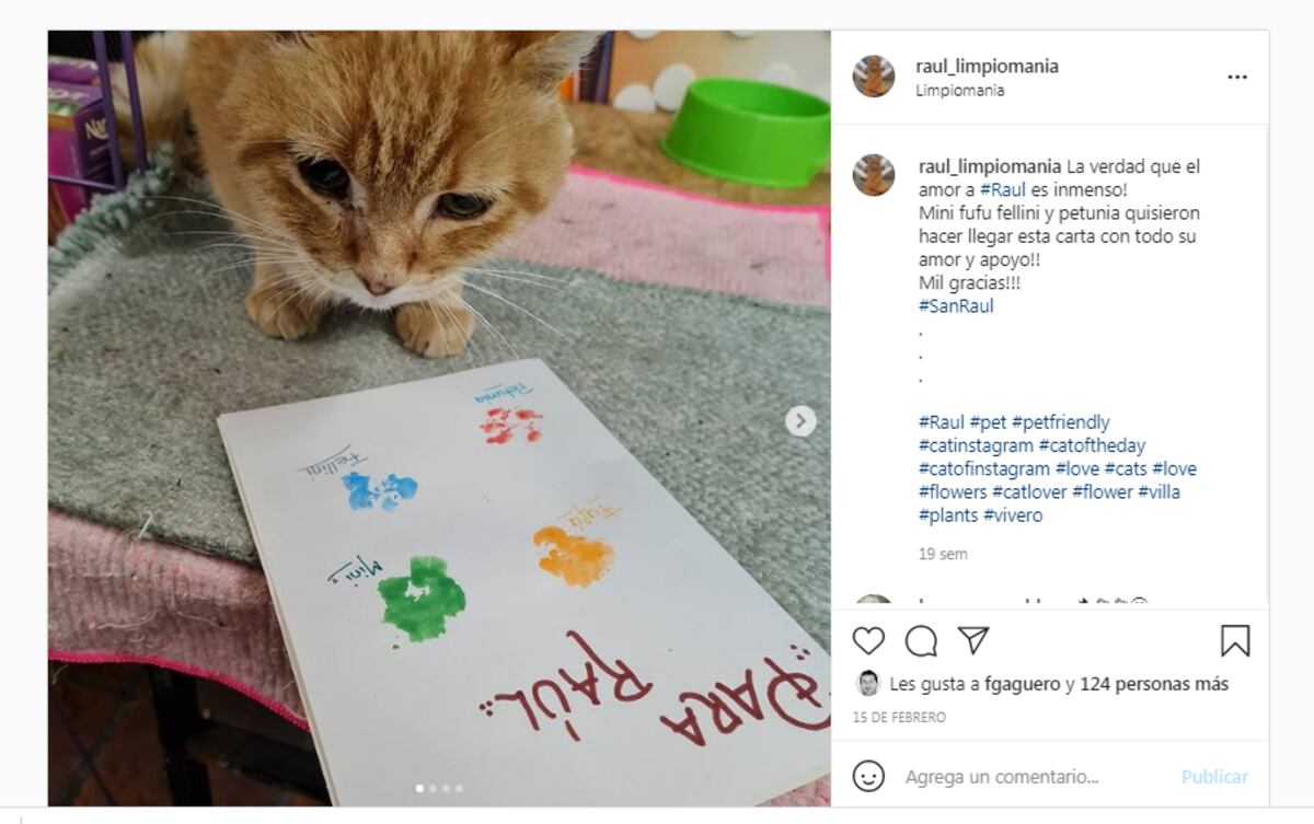 Raúl, el gatito de Carlos Paz.