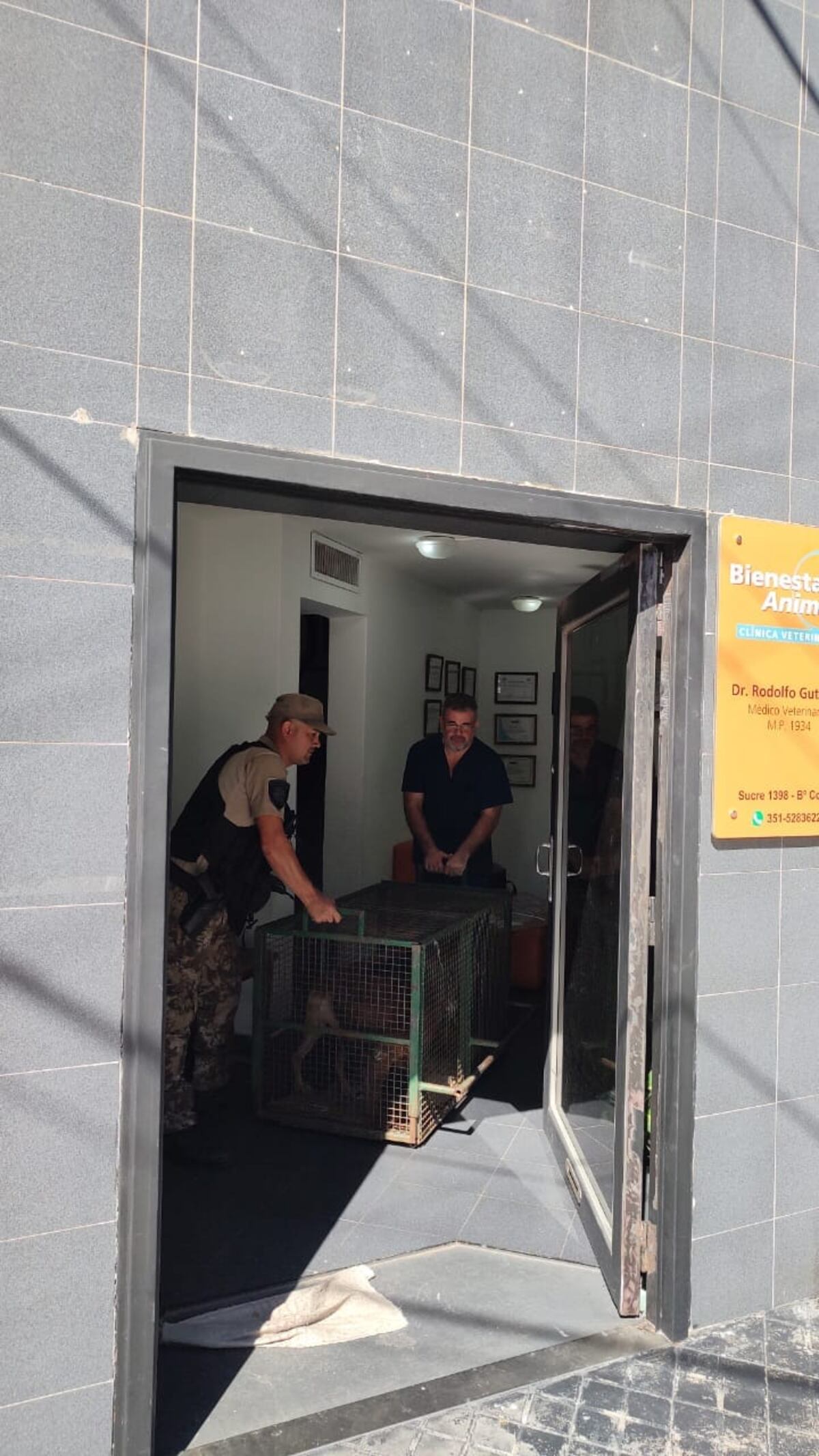 Córdoba. Rescatan a animales en estado de abandono (Gentileza).
