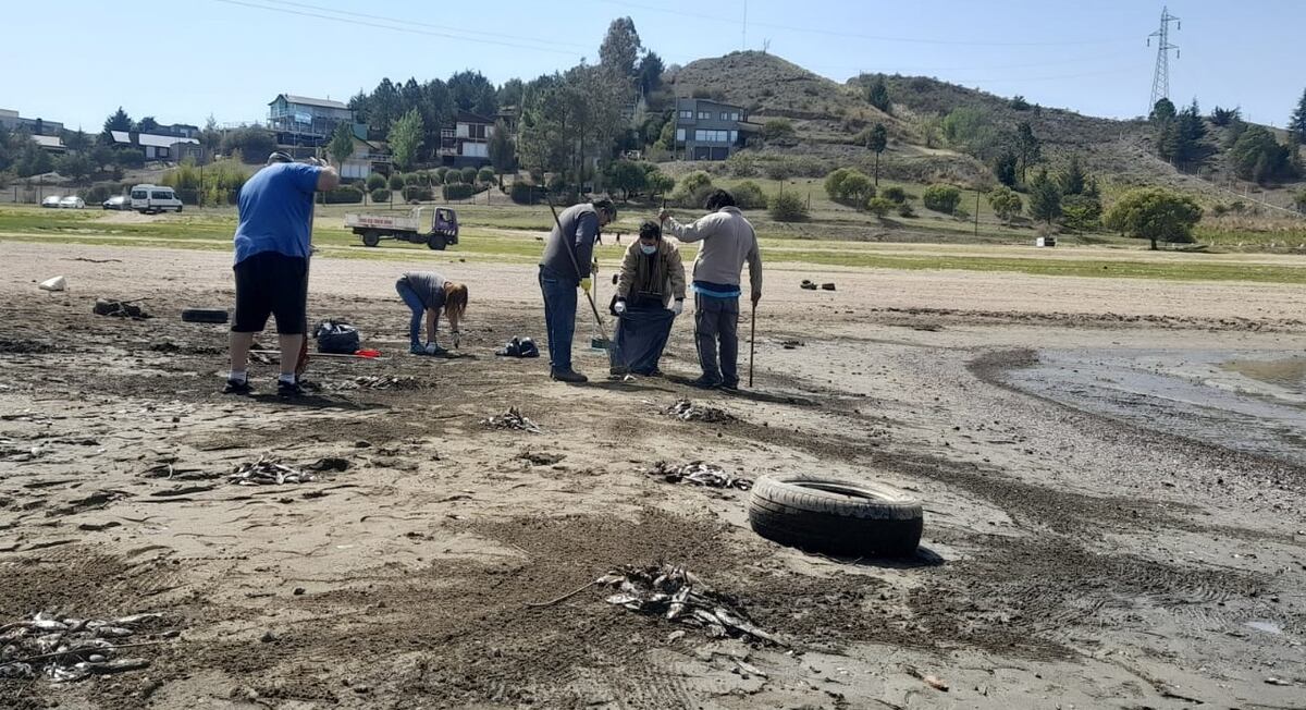 Recolección de peces por mortandad en las costas del dique Los Molinos, con bajo nivel de agua actual. (Gentileza Leo Cantoni)