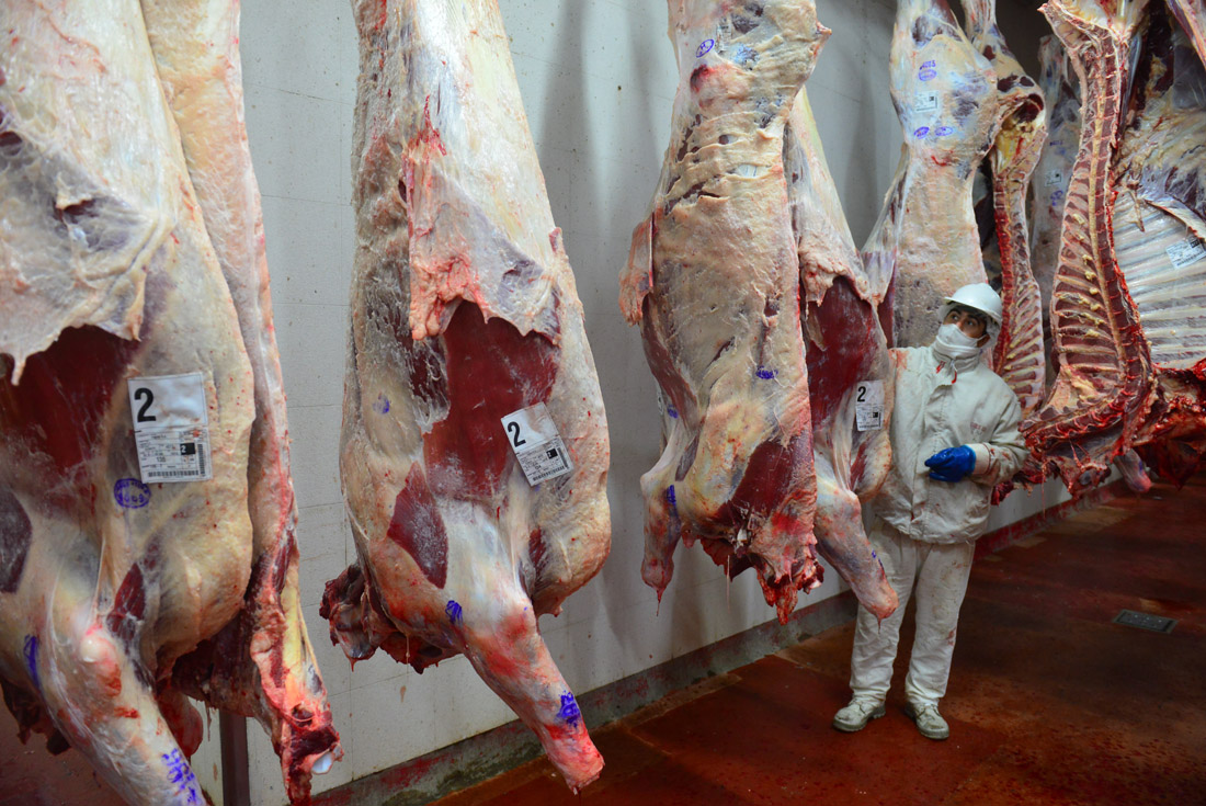 El boom de las carnes: la de vaca, con precios récord; y la de cerdo suma inversiones