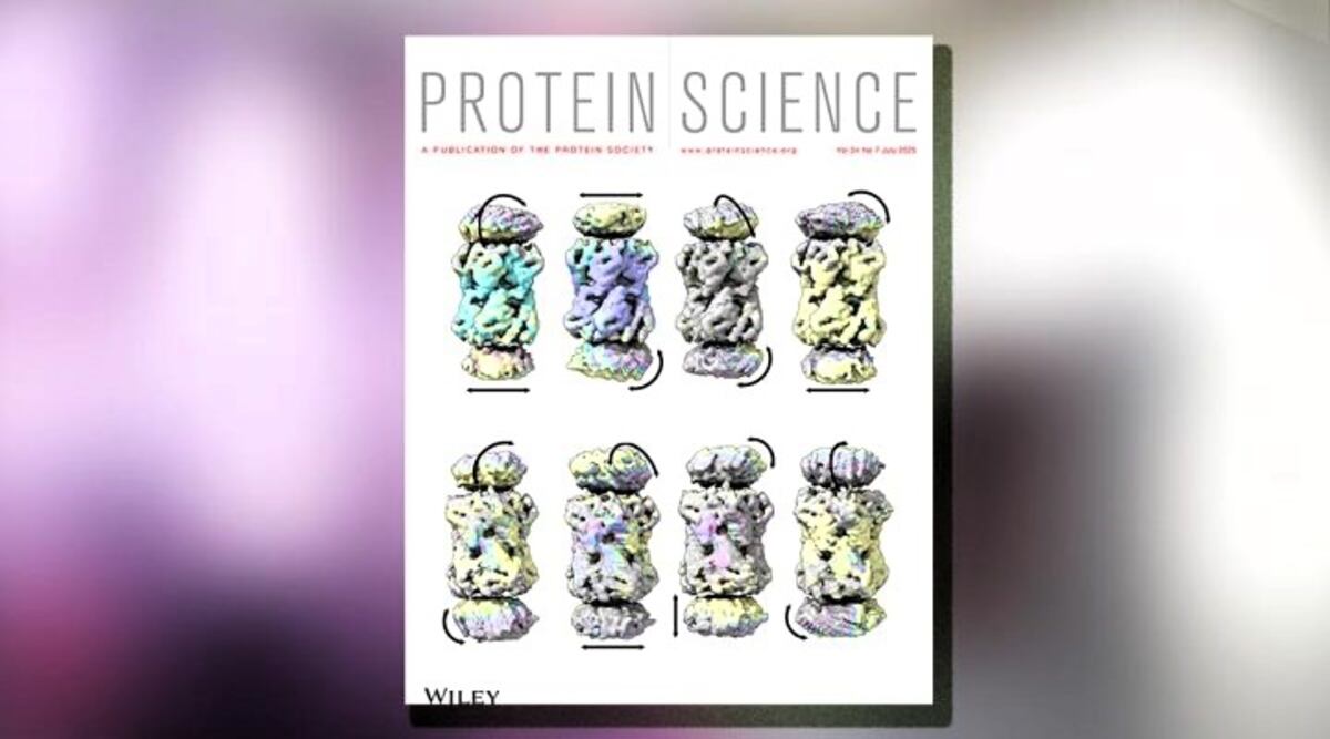 La tapa de la revista científica internacional "Protein Science", con el trabajo que lideró Otero (Gentileza Conicet)