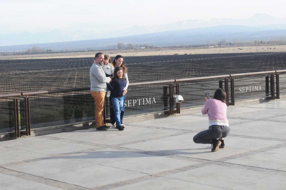 La vista de la bodega mira a la cordillera.