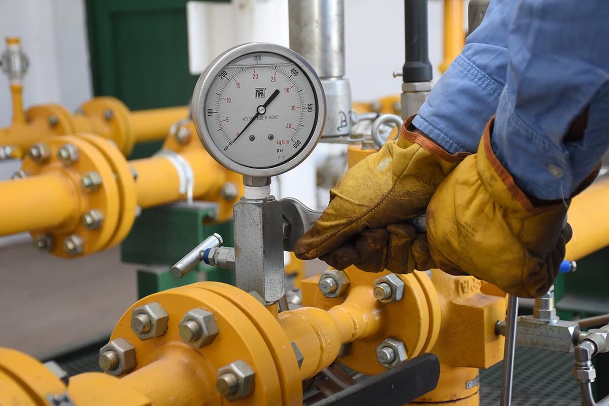 Equipos técnicos de Ecogas trabajan junto a cada empresa para diseñar soluciones de conexión a medida y acelerar su desarrollo.